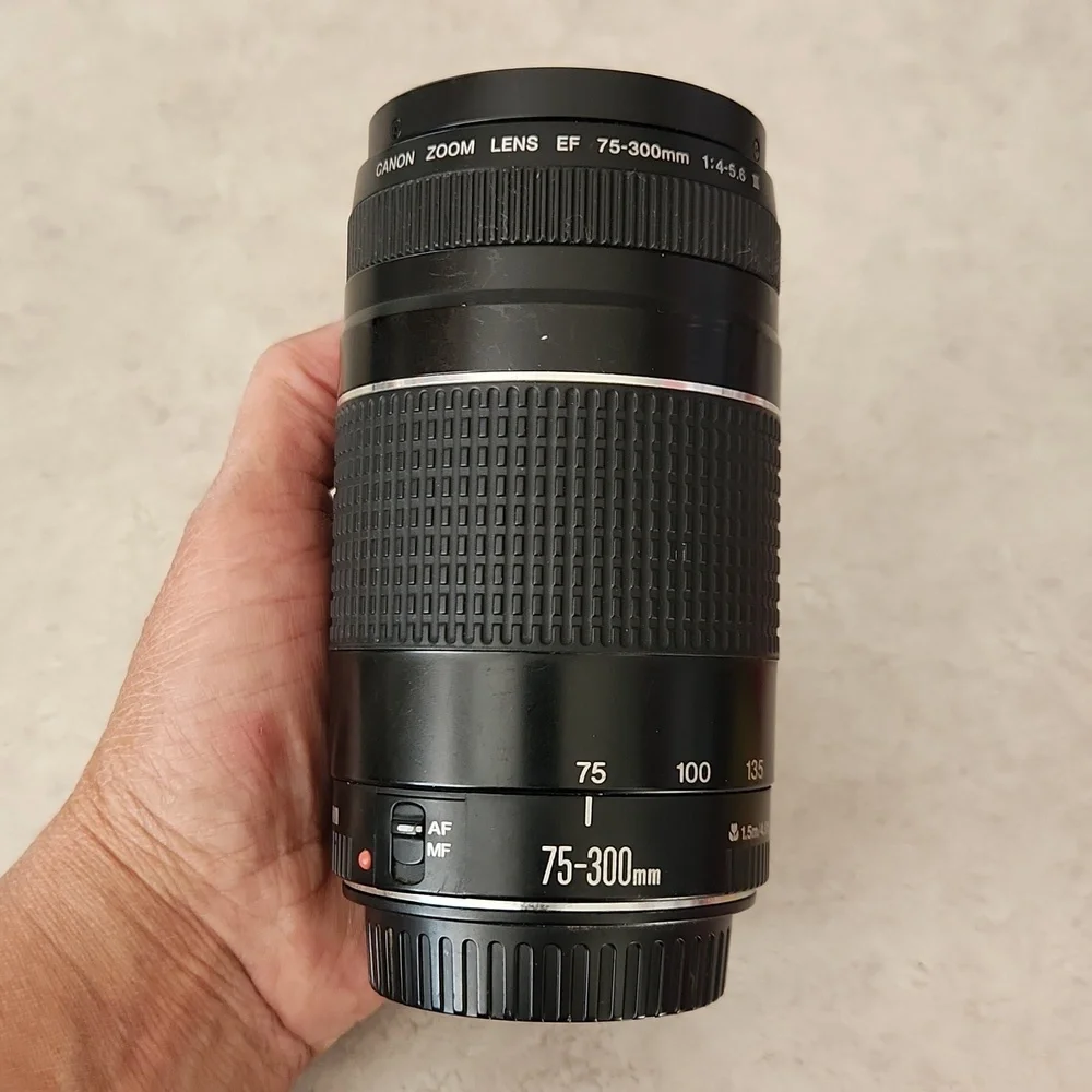 Canon Digital Rebel EOS